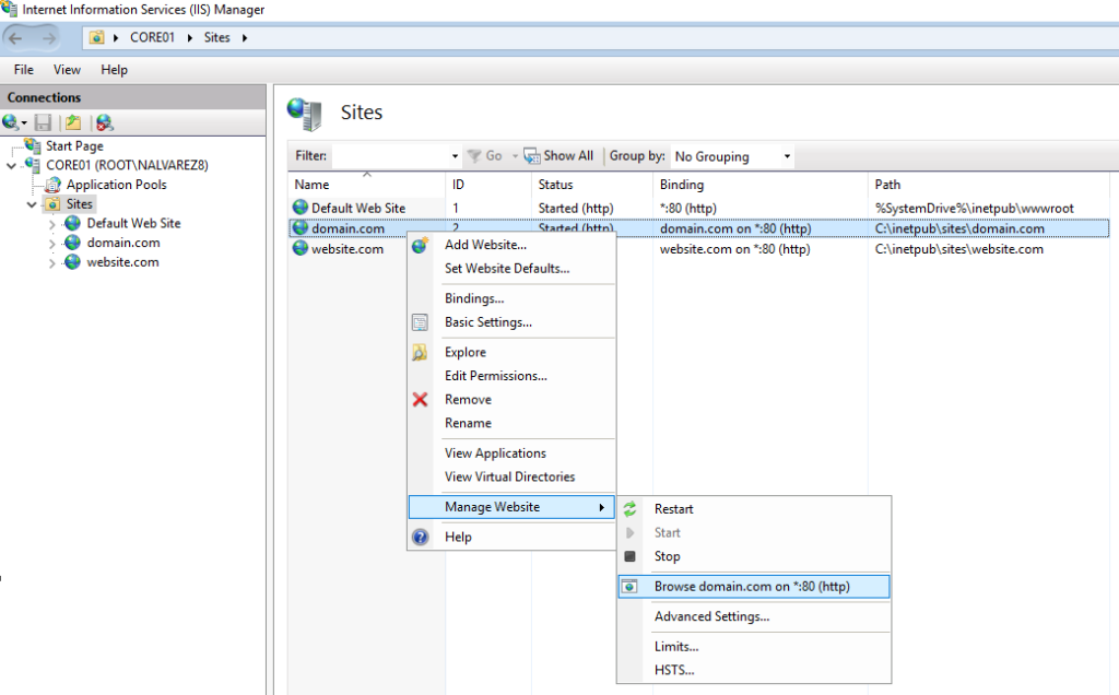 Internet Information Services – Configure Multiple Websites on One IP ...